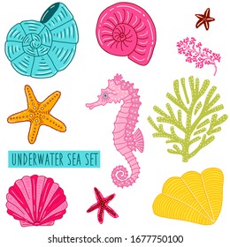 Verschiedene Muscheln, Muscheln, Muscheln, Korallen, Sterne und rosafarbene Seepferdchen. Vektorillustration gesetzt. Illustration für sommerliche Scrapbooking, Ozeangeschenkverpackung, Kindermode-Ausdrucke, Beachbekleidung. 