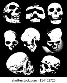 Various Scary human skulls