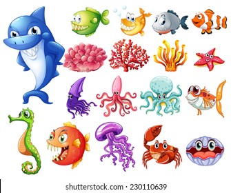 Various sea creatures on white