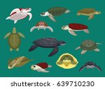 Various Sea Turtle Poses Vector Illustration