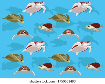 Diversas especies de tortugas marinas vectores fondo de fondo transparente-01