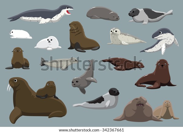 Various Seals Set\
Cartoon Vector\
Illustration