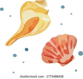 verschiedene Muscheldekorationen am Strand