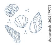 Various seashells arranged in a creative layout on a white background