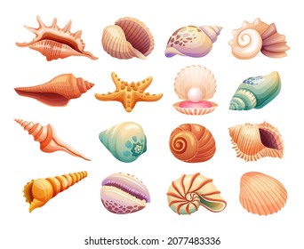 Various seashells illustration isolated on white background