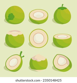 various set of fruit flat coconut exotic natural dessert cartoon isolated