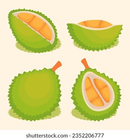 various set of fruit flat durian exotic natural dessert cartoon isolated