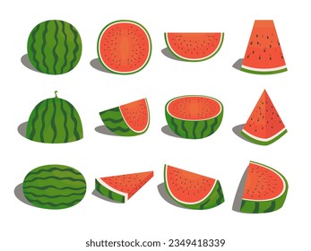 various set of fruit flat watermelon exotic natural dessert cartoon isolated