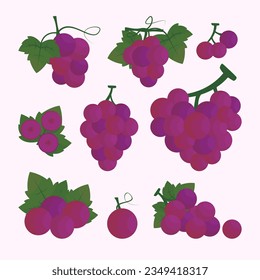 various set of grapes flat cartoon exotic natural desserts isolated