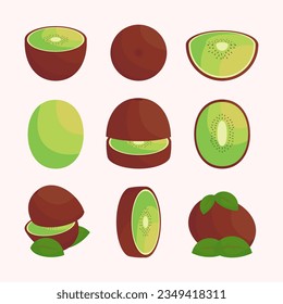 various set of kiwi fruits flat cartoon exotic natural desserts isolated