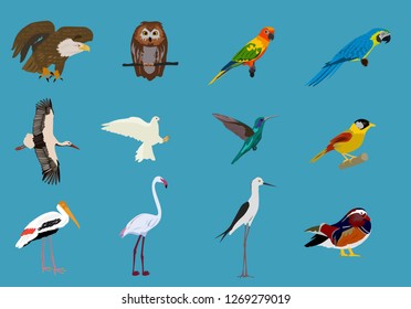 
Various sets of birds Blue background,animals vector