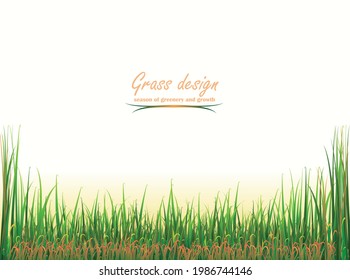 Various shades of grass, green and soft brown. Thick grass with panicles of different heights