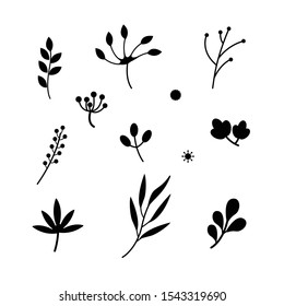 Various shape of leaves icon set isolated on white background.