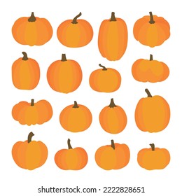 Various shaped pumpkins. Collection of hand drawn, vector illustrations.