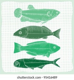 various shapes of fish