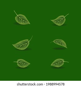Various shapes and forms of green leaf sets. Vector illustration.