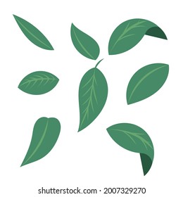 Various shapes of green leaves vector symbols , Illustration Vector EPS 10