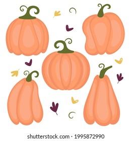 Various shapes and sizes of orange pumpkin isolated on white background.