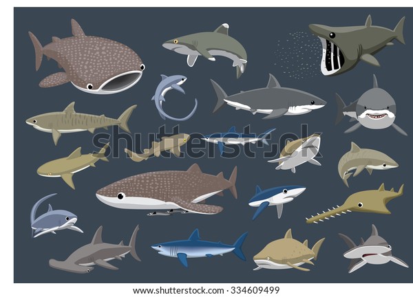Various Sharks Set\
Cartoon Vector\
Illustration