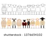various sheep border set