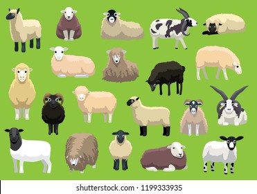 Various Sheep Breeds Poses Cartoon Vector Characters svg