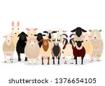 various sheep group