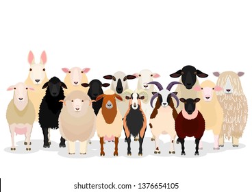 various sheep group svg