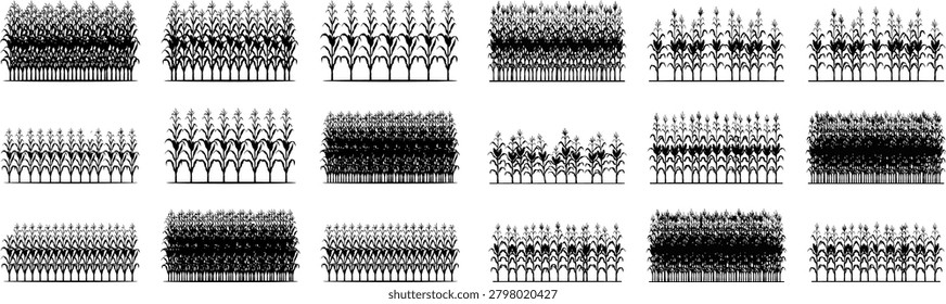 Various silhouettes of corn fields, featuring rows of growing plants with ripe ears, ideal for agricultural concepts, farming industry, harvest season, and rural landscape projects.