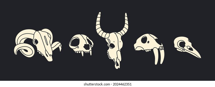 Various Skulls of different animals and bird. Skull of ram, cat or tiger, buffalo or cow, saber toothed lion, lynx. Hand drawn trendy Vector illustration. All elements are isolated