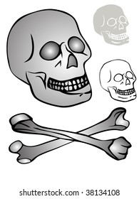 various skulls - vector