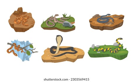 Various snakes crawling on the ground and tree, flat vector illustration isolated on white background. Different types of reptile animals - copperhead, brown tree snake and banded krait.