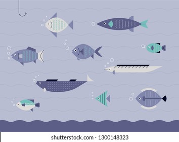 Various species in the sea. Fish design set of simple shapes. flat design style minimal vector illustration