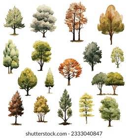 Various species of trees are elements used for illustration