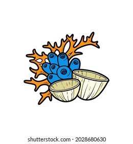 Various sponges and corals object color variation for coloring page isolated on white background