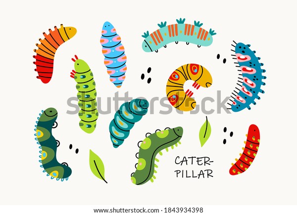 Various Spring Summer Colorful Caterpillars Different Stock Vector 