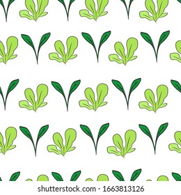 Various sprouts on a white background. Small plants, seedlings seamless pattern. For fabric, print, wallpaper, site.
