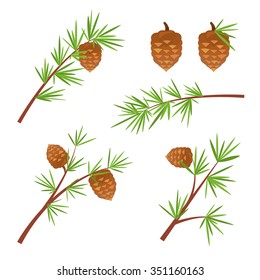 Various spruce branches with cones, Christmas tree element, vector illustration