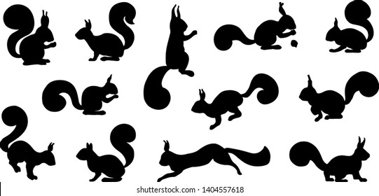 various squirrel silhouette on the white background