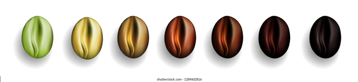 Various Stages of Coffee Beans Roasted from Green to Dark Brown Isolated on White Background. Realistic Vector 3D Illustration of Arabica or Robusta Grains