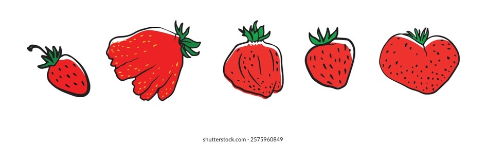 various stages and shapes of strawberry berries, suitable for educational materials, gardening guides, recipe illustrations, or themed art designs.