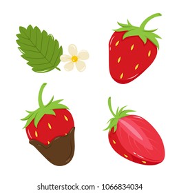 VARIOUS STRAWBERRY WHITE BACKGROUND