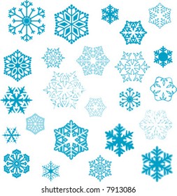 various stylized designs of snowflakes for winter illustration