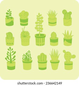 Various succulent mix green vector seamless pattern