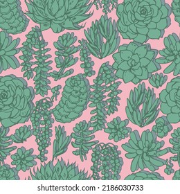 various succulents vector seamless pattern