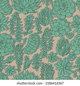 various succulents vector seamless pattern