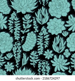 varios modelos de vector de suculencia sin fisuras