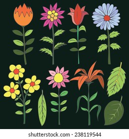 Various summer flowers.