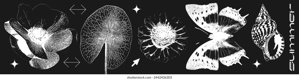Varias flores de verano, hoja, concha, mariposa fotocopia elementos de efecto conjunto con grunge punteado grano textura desordenada. Ilustración vectorial estética y2k de moda. Imitación de película negativa.