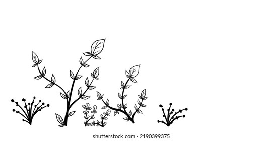 Various surrounding plants, ornaments for graphic resources. Wild plants of various types that grow in the home environment