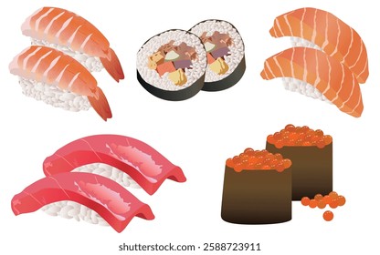 Various sushi illustration designs, fresh shrimp, fish roe, salmon, sushi, tuna sushi
